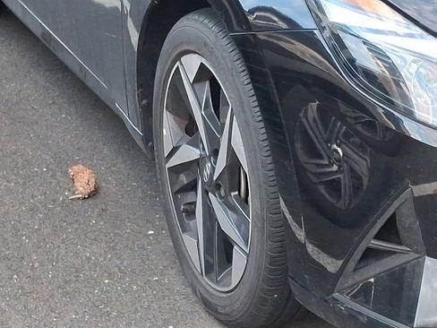 Used 2023 Hyundai Elantra SEL w/ Convenience Package image 10