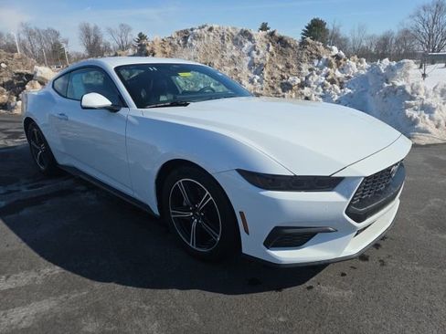 Certified 2025 Ford Mustang Premium image 1