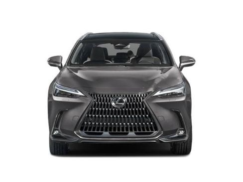 Used 2024 Lexus NX 350h AWD w/ Vision Package image 4