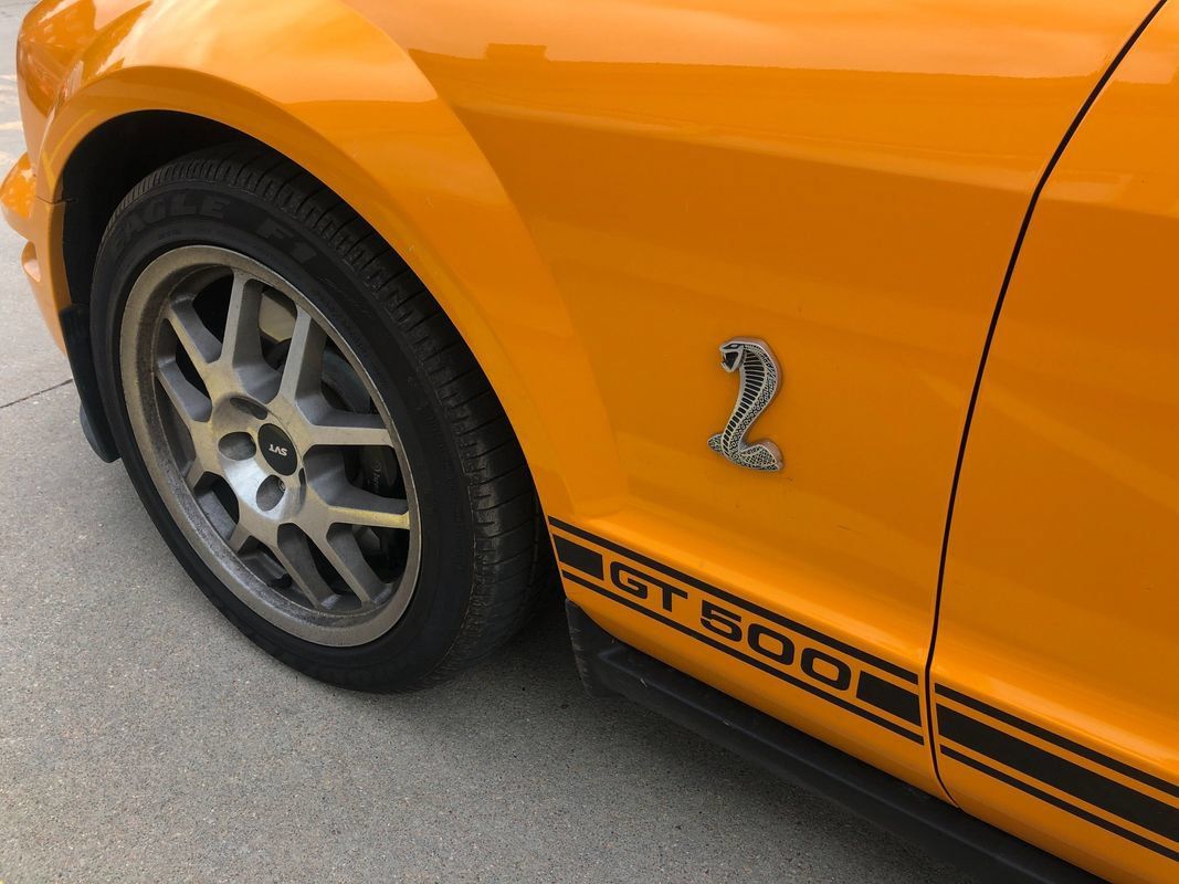 Used 2009 Ford Mustang Shelby GT500 RWD image 13