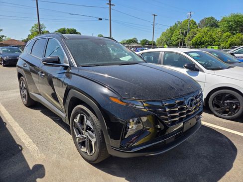 Used 2023 Hyundai Tucson Limited AWD/4WD image 1