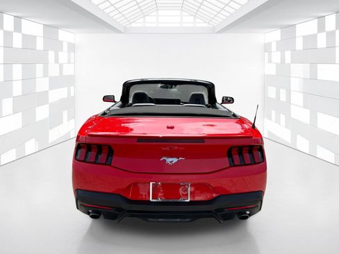 Used 2025 Ford Mustang Premium RWD image 6