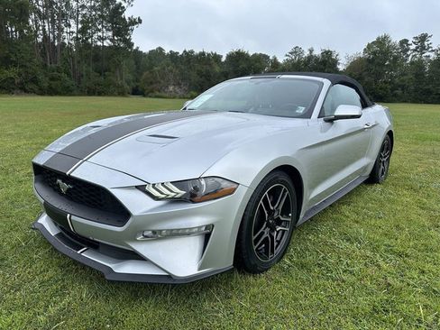 Used 2019 Ford Mustang Premium image 4