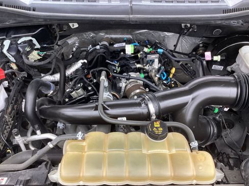 Used 2019 Ford F150 XLT w/ Equipment Group 302A Luxury RWD image 27