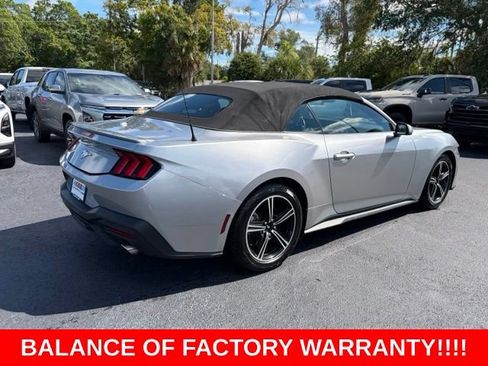 Used 2024 Ford Mustang Premium RWD image 6