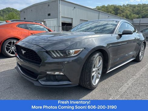 Used 2016 Ford Mustang Premium w/ Pony Package RWD image 1