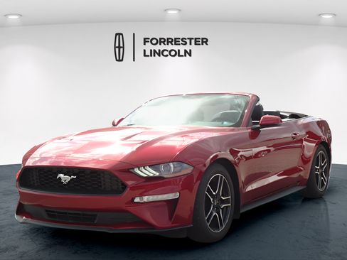 Used 2019 Ford Mustang Premium w/ Equipment Group 201A RWD image 7