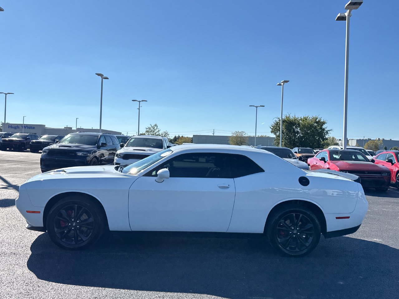 Used 2021 Dodge Challenger SXT w/ Blacktop Package AWD/4WD image 6