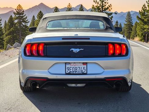 Used 2023 Ford Mustang Premium image 5
