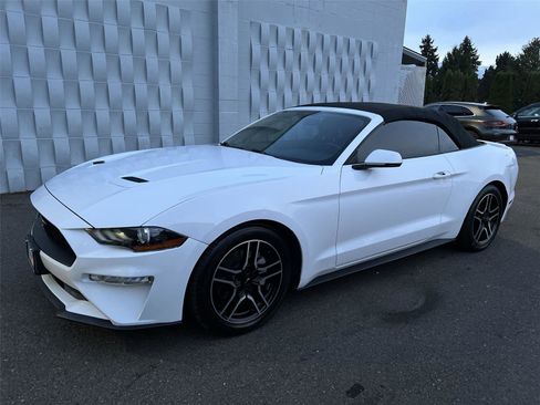 Used 2019 Ford Mustang Premium image 2