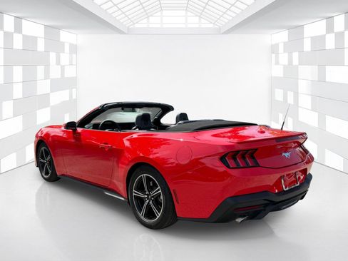 Used 2025 Ford Mustang Premium RWD image 5