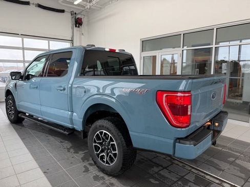 Used 2023 Ford F150 XLT w/ Equipment Group 302A High image 4