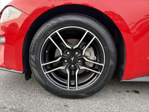 Used 2019 Ford Mustang Premium image 13