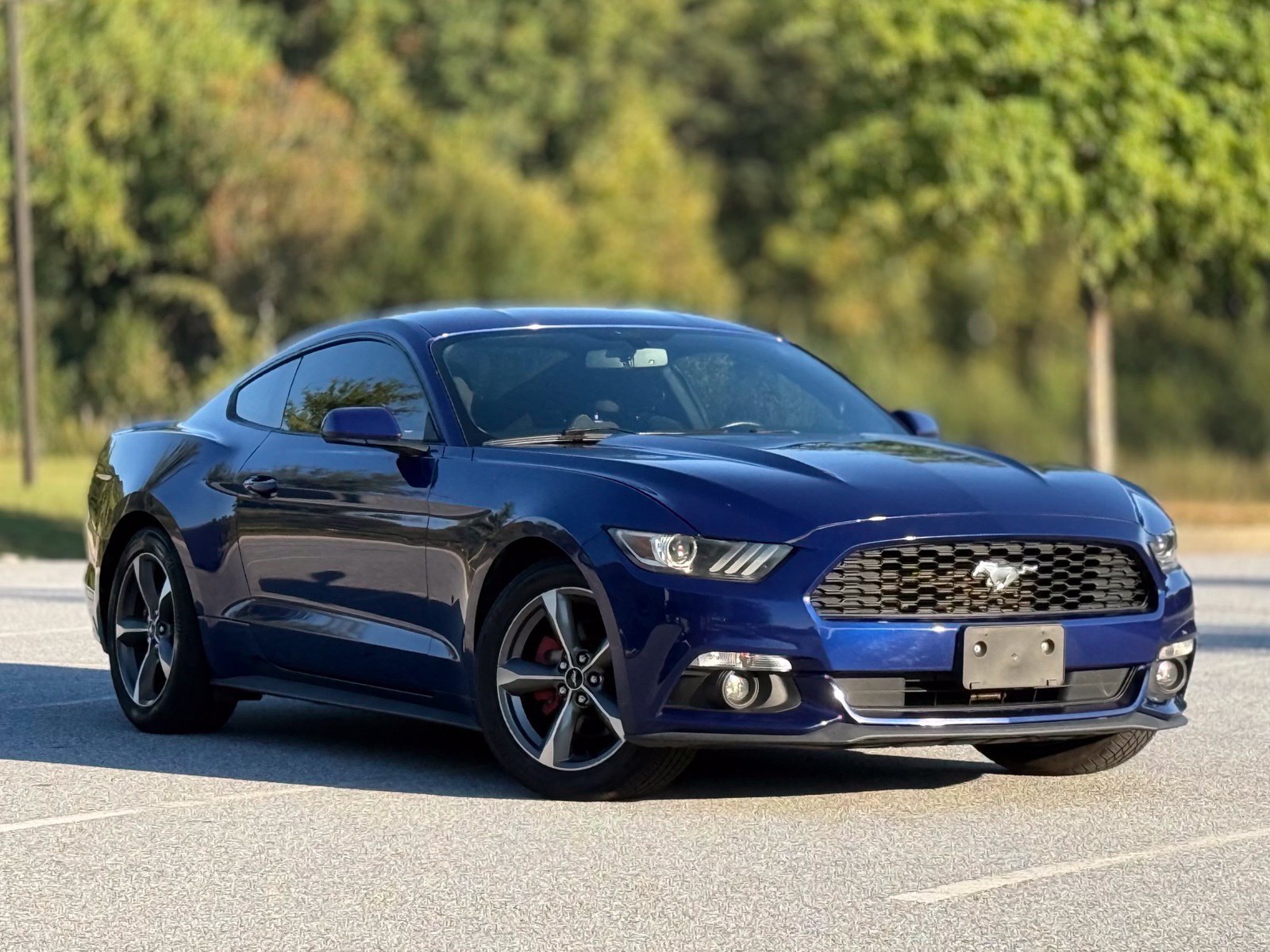 Used 2016 Ford Mustang Coupe w/ Equipment Group 051A RWD image 13