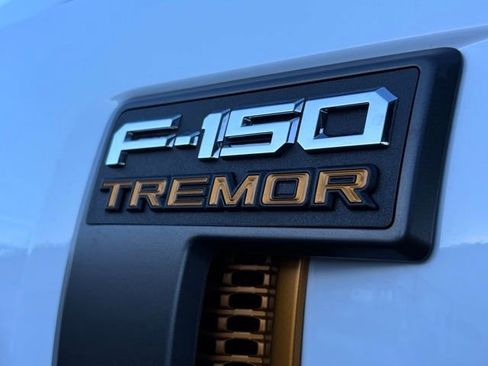 New 2025 Ford F150 Tremor image 19