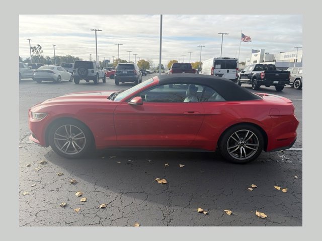 Used 2015 Ford Mustang Premium RWD image 1