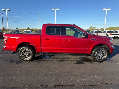 Used 2019 Ford F150 XLT w/ Equipment Group 302A Luxury AWD/4WD image 6