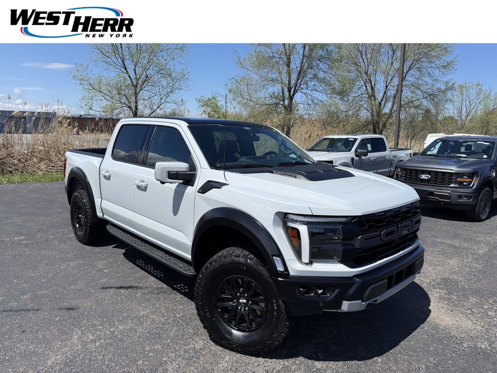 Used 2024 Ford F150 Raptor AWD/4WD image 1