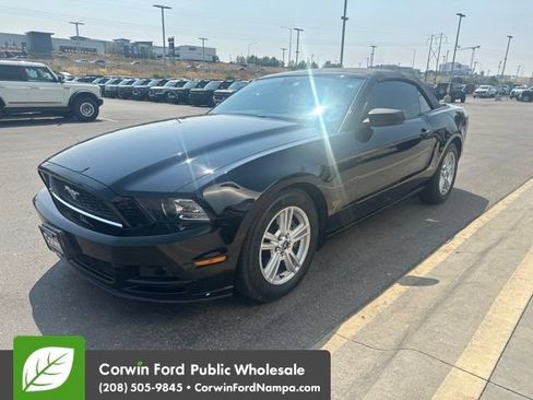 Used 2014 Ford Mustang Convertible w/ Equipment Group 102A RWD image 3
