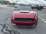 Used 2016 Ford Mustang GT Premium w/ Equipment Group 401A image 5