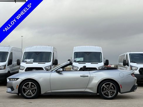 Certified 2024 Ford Mustang Premium image 3