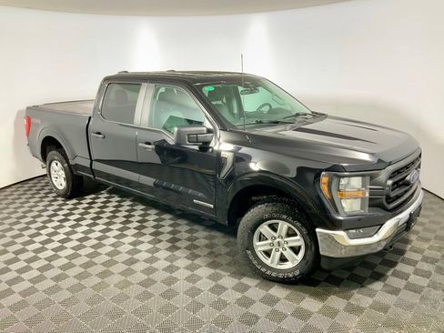 Used 2023 Ford F150 XL w/ XL Chrome Appearance Package AWD/4WD image 3