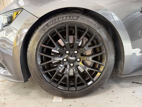 Used 2017 Ford Mustang GT w/ Black Accent Package image 18