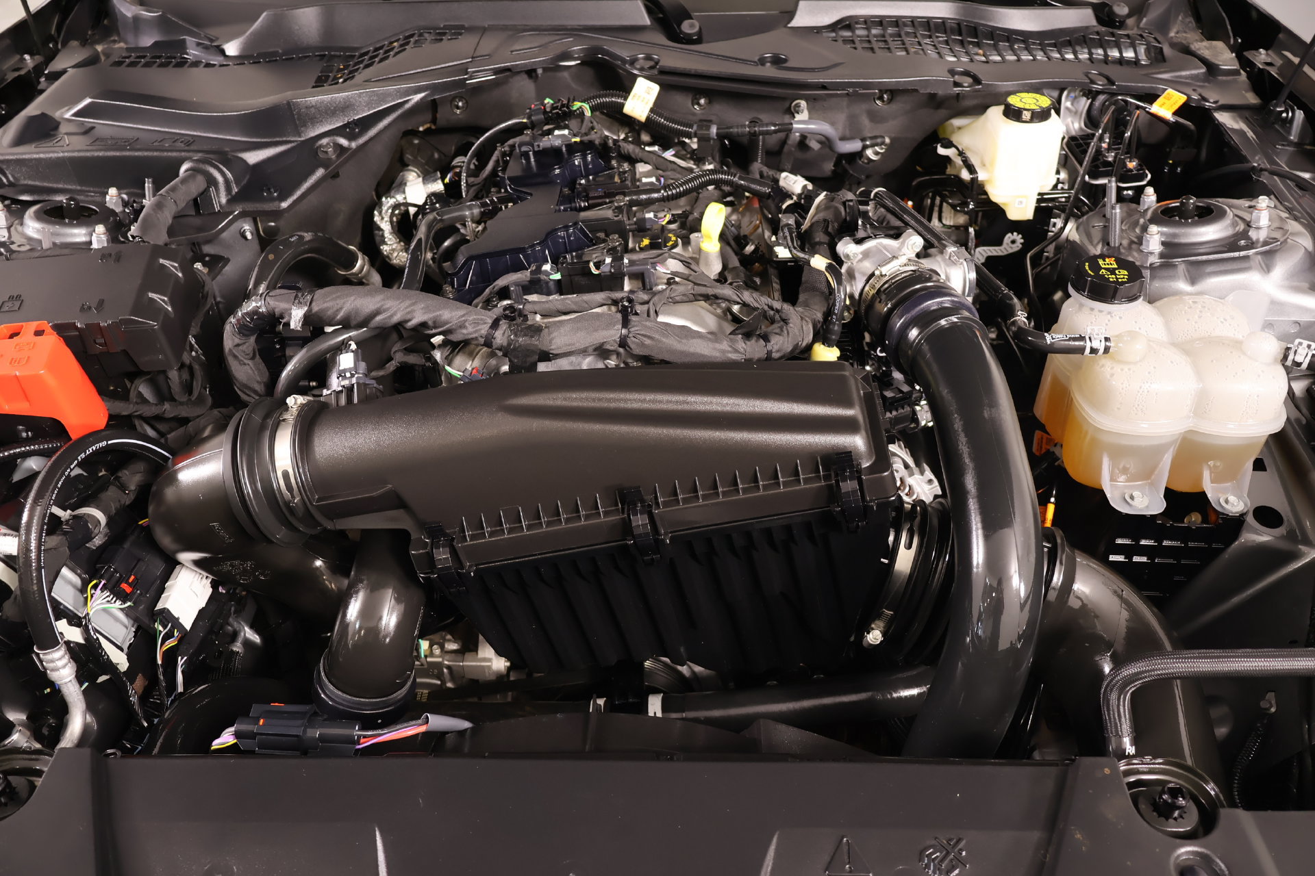 Used 2026 Ford Mustang Coupe RWD image 17