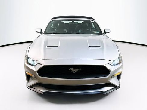 Used 2019 Ford Mustang Premium RWD image 2