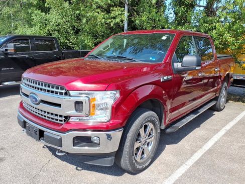 Used 2019 Ford F150 XLT w/ Equipment Group 302A Luxury image 2