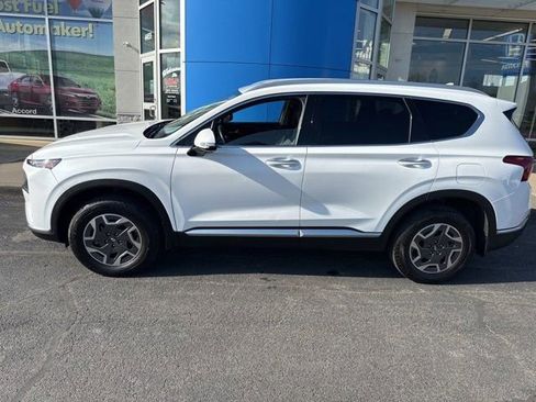 Used 2021 Hyundai Santa Fe Blue AWD/4WD image 2