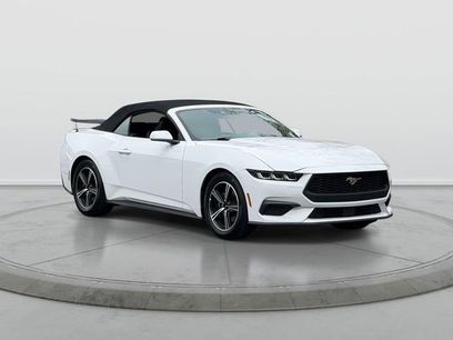 Used 2024 Ford Mustang Premium