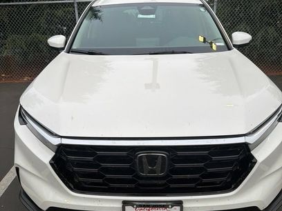Used 2025 Honda CR-V EX