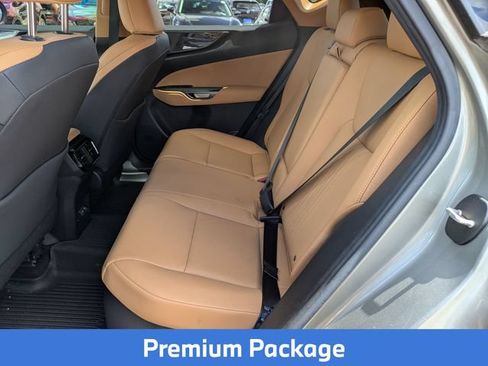 Used 2024 Lexus NX 350h AWD w/ Cold Area Package image 24