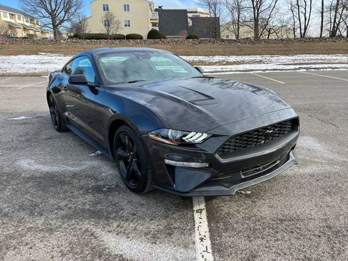 Used 2022 Ford Mustang Coupe w/ Equipment Group 101A image 1