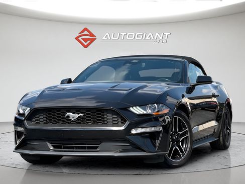 Used 2022 Ford Mustang Premium RWD image 2
