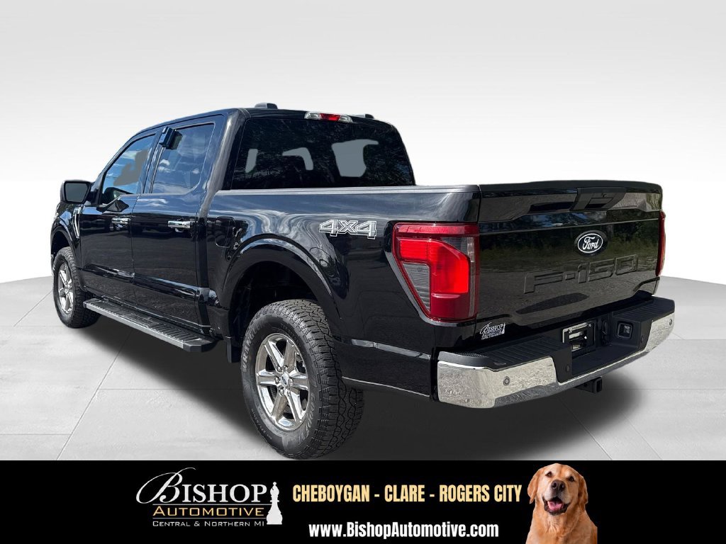 Used 2025 Ford F150 XLT w/ Equipment Group 301A Standard AWD/4WD image 9