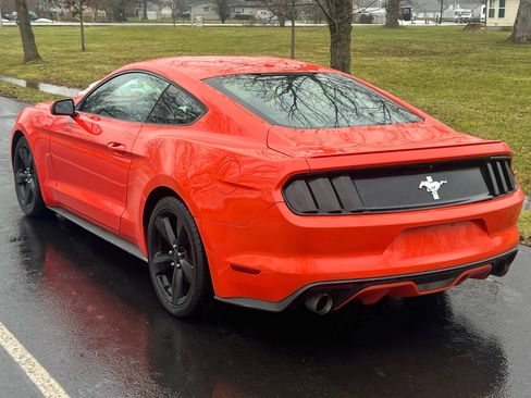 Used 2015 Ford Mustang Premium image 7
