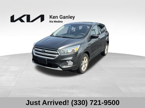 Used 2019 Ford Escape SE FWD image 1