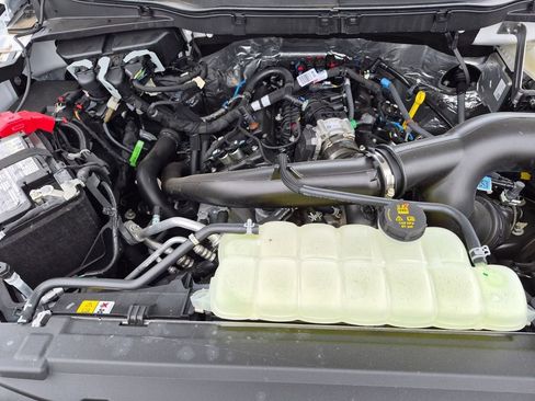 New 2025 Ford F150 STX w/ Equipment Group 200A image 22