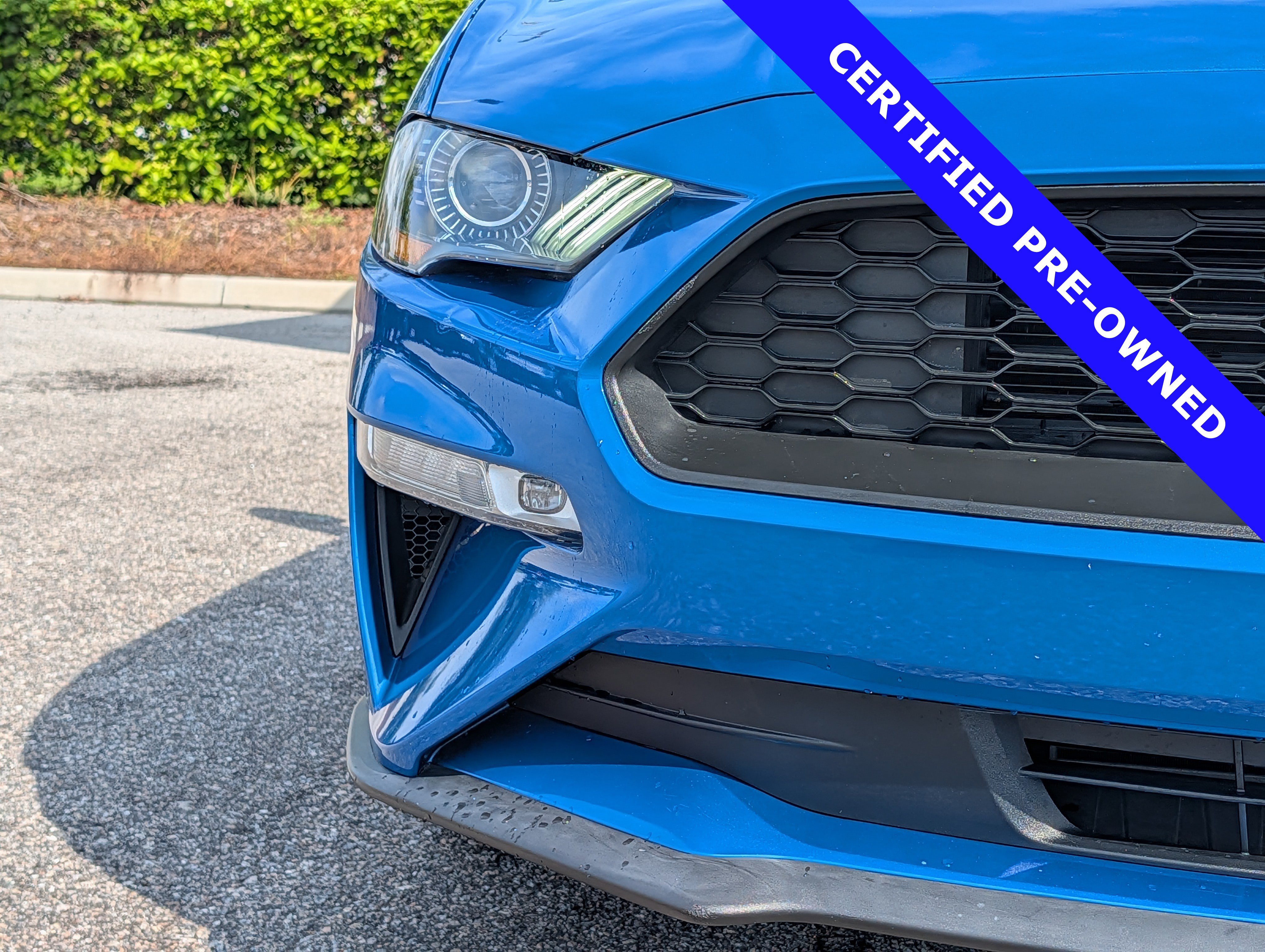 Certified 2019 Ford Mustang Premium w/ Equipment Group 201A RWD image 10
