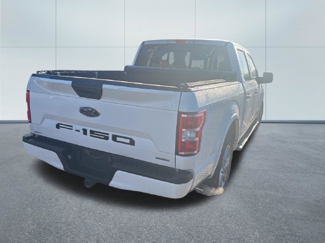 Used 2019 Ford F150 XLT w/ Equipment Group 302A Luxury RWD image 4