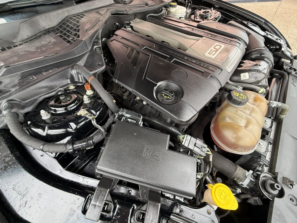 Used 2019 Ford Mustang GT RWD image 24