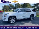 Used 2016 Cadillac Escalade Premium image 1