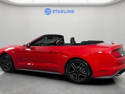 Used 2020 Ford Mustang Premium RWD image 4