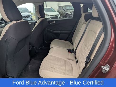 Used 2021 Ford Escape SE w/ SE Sport Appearance Package image 10