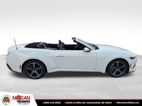 Used 2024 Ford Mustang Premium RWD image 7