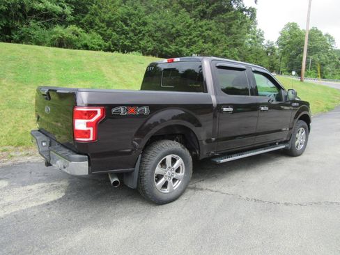 Used 2019 Ford F150 XLT w/ Equipment Group 302A Luxury AWD/4WD image 3