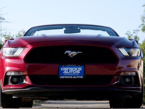 Used 2017 Ford Mustang Premium image 14