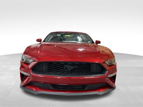Used 2022 Ford Mustang Coupe w/ Equipment Group 101A RWD image 2